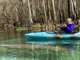 Image result for Cumbernauld & Kilsyth Kayak Club