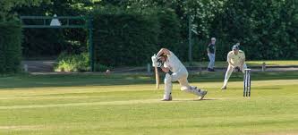 Image result for Griff & Coton Cc