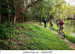 Image result for Bristol Mountain Bike Club