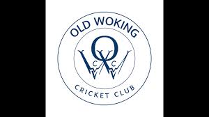 Image result for Old Woking Cricket Club