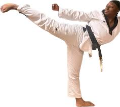 Image result for Tsunami Karate Club