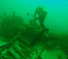 Image result for Birkenhead Sc