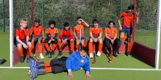 Image result for Old Kingstonian Hockey Club