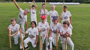 Image result for Bowdon Cricket Club