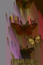 Attēlu rezultāti vaicājumam “Coscinia cribraria imago”