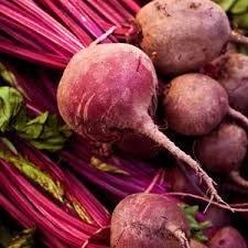 Image result for Beta vulgaris