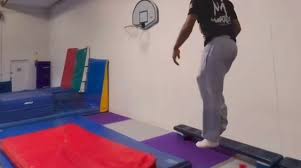 Image result for Monarchs Sports Acrobatics Club