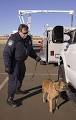 Explosive detection - Wikipedia, the free encyclopedia