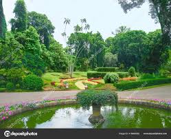 Image result for шри ланка королевский ботанический сад
