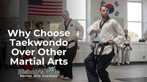 Image result for Elite Martial Arts Academy