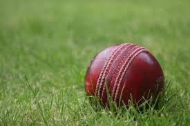 Image result for Shillingstone Cricket Club
