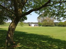 Image result for Peper Harow Cricket Club