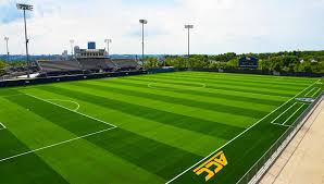 Image result for Astroturf