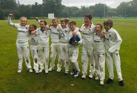 Image result for Bromsgrove Cricket Club