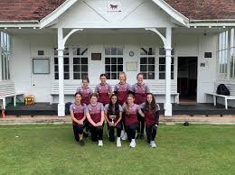 Image result for Blagdon Cricket Club