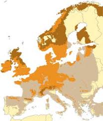 Attēlu rezultāti vaicājumam “Carterocephalus silvicolus underside”