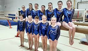 Image result for WALSALL GYMNASTICS CLUB