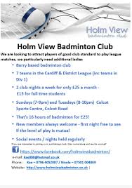 Image result for Holmwood Junior Badminton Club