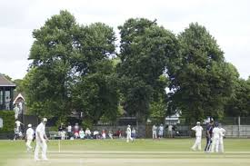 Image result for Old Crown Cricket Club