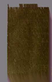 Attēlu rezultāti vaicājumam “Claustria didermoides”