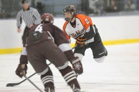 Image result for Demons Skater Hockey Club