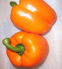 Afbeeldingsresultaat voor orange sun sweet pepper