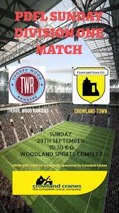 Image result for Thorpe Green Fc