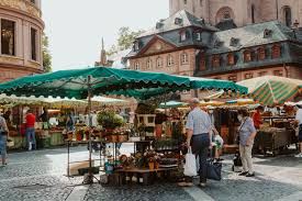 Image result for mainzelm