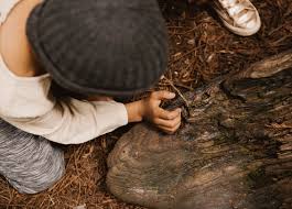 Image result for loopveer