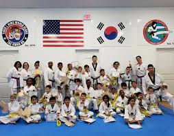 Image result for Kidderminster Tae Kwon Do Tigers