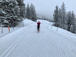 Image result for Manchester Cross Country Ski Club