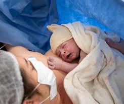 Image result for cesarskie