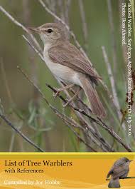 Image result for Hippolais caligata