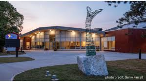 Image result for decoste