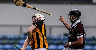 Image result for Causeway Hurling Club