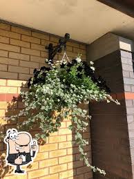 Image result for Cynon Valley Indoor Bowls Club