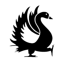 Image result for Guildford Cricket Club