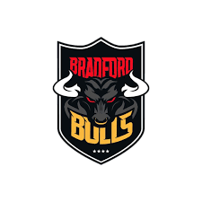 Image result for Bradford Bulls Super League Club