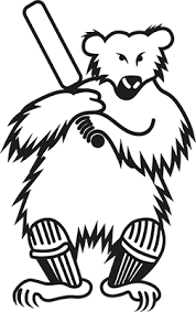 Image result for Purton Cricket Club