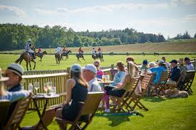 Image result for Cowdray Park Polo Club