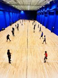 Image result for Raychem Badminton Club