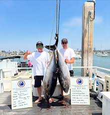 Image result for Fylde Boat Angling Club