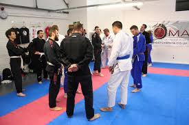 Image result for Basingstoke SMRTJ Jiu Jitsu