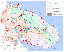 Attēlu rezultāti vaicājumam “Leiocolea heterocolpos”