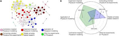 Attēlu rezultāti vaicājumam “Physarum penetrale macro”