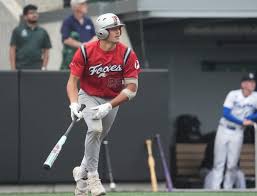 Image result for Leyland Fox Lane Sports Club