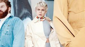 Image result for robyn