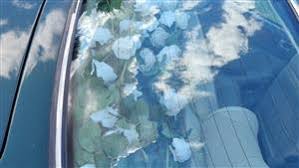 Image result for Sherwood Green 1997 Jaguar