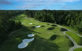 Image result for Cringlewood Club