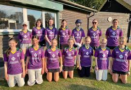 Image result for Saffron Walden Cricket Club